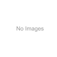 PHOSPHORIC ACI DI-T-BUTYL EXTER CHLOROMETHYL ESTER